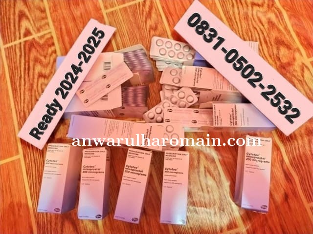 Jual Obat Aborsi Cytotec Di Aceh (Asli No.1) WA: 083105022532 Jual Obat Penggugur Kandungan Asli TUN