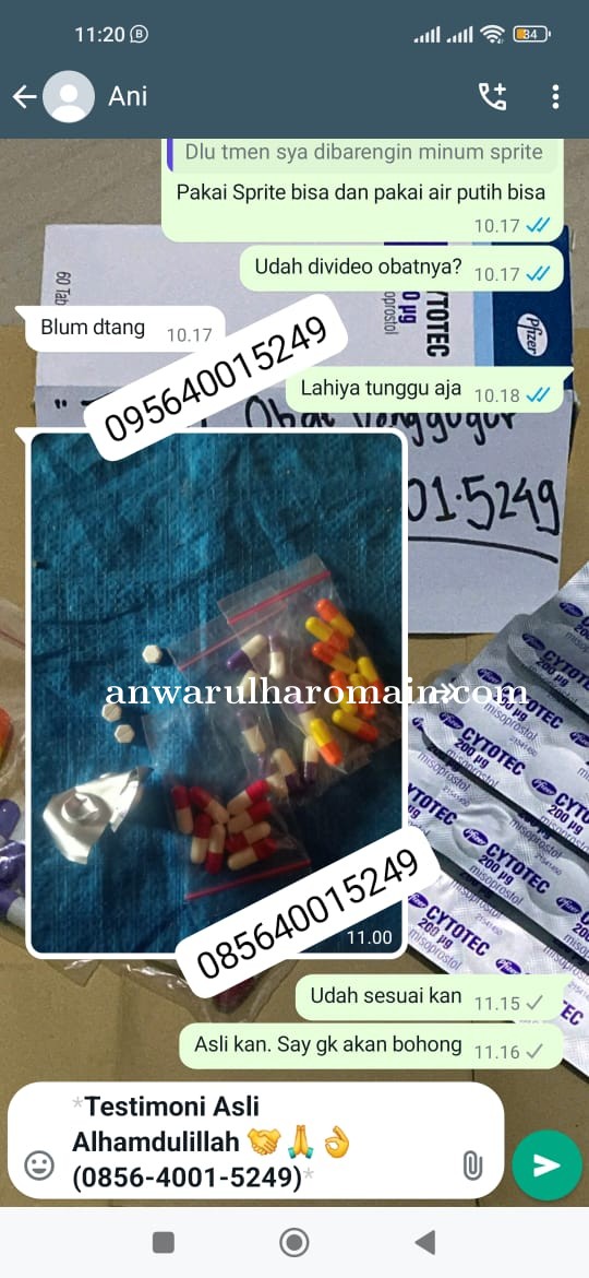 Distributor PT Cytotec Murah Di Papua 085640015249 Menjual Obat Aborsi Cytotec 400Mg COD Surabaya